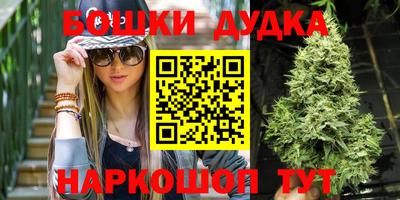 СК Пугачёв