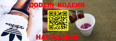 СК Пугачёв